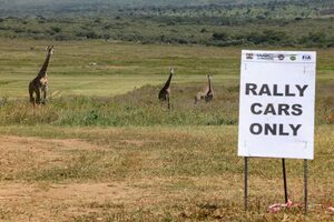 タナク「欧州と比べて特別なのは、もちろん野生動物」／2023年WRC第7戦ケニア 事前コメント