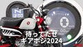 「こういうのでいいんだよ」「ギアポジキター！」ホンダ「モンキー125」歴代カラー大図鑑【2024年モデル】