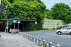 相性バッチリ!!　香り豊かな桜えび＆しらすの冷やしそばを東名高速「中井PA」で堪能　バイクで行く高速道路グルメ