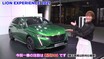 【動画】プジョーの新型308と508PSEが六本木に現る！佐藤あやみが行く「ライオンエクスペリエンス 2021」