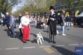 ベルリンの街が2000台以上のクラシックカーで埋まる日「Classic Days Berlin」