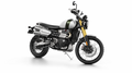 ”今ならトートバッグがもらえちゃう”  新型 Scrambler 1200 XC  XEデビューフェア開催