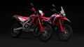 新型CRF250L/RALLYがお目見え、新設計フレームと吸排気系見直しで期待されるオフロード性能