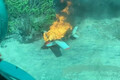 世界中で売れる「南米生まれプロぺラ軍用機」A-29「スーパーツカノ」元々の敵は“反社”だった!? その誕生経緯とは
