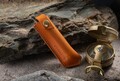 調理・木工・魚捌きまでこれ一本で遊び切る！ FEDECA の「トレイルナイフ」が Makuake で先行販売スタート