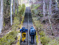 「週末登山家」ベタ褒め！　アウトドアで際立つメルセデス「Cクラス」ワゴンの「機能美」