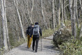 「週末登山家」ベタ褒め！　アウトドアで際立つメルセデス「Cクラス」ワゴンの「機能美」