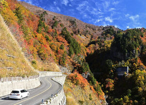 「道が1本しかない県境」ようやく8か月ぶり全線開通 “隣の県境”も4か月ぶり復旧 「道路状況が一気に改善します」