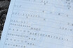 クルマのありとあらゆる情報が詰まった17桁の暗号！　「VINナンバー」とは？