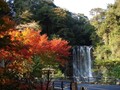 坂本龍馬を魅了した伝説の地、霧島温泉郷【クルマと旅する、にっぽんの温泉】