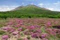 坂本龍馬を魅了した伝説の地、霧島温泉郷【クルマと旅する、にっぽんの温泉】