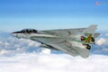 映画『トップガン』に登場した「F-14戦闘機」イスラエルが撃破の瞬間を動画で公開