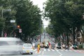 「茨城ダッシュ」に「伊予の早曲がり」そんなルール知らなかった！ 地方でよくある“ローカル運転ルール”とは？