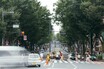 「茨城ダッシュ」に「伊予の早曲がり」そんなルール知らなかった！ 地方でよくある“ローカル運転ルール”とは？