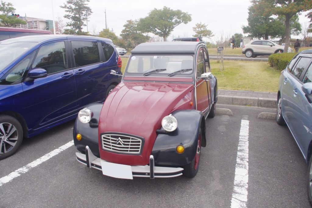 愛知県でのイタリア車やフランス車の人気は意外と高い！？あいちトリコローレ2018