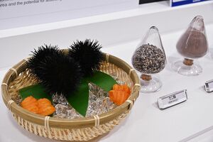 〈人テク展2024横浜〉ウニの殻から作った「ウニライト」　消臭効果の新素材として河西工業が提案