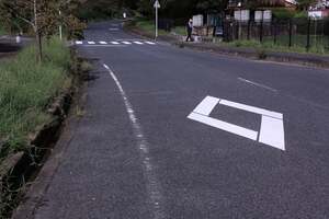 道路に描かれた「謎のひし形」ってどんな意味？ うっかり見逃すと「違反」になる可能性も！ ダイヤマークについて解説。