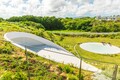 NOT A HOTEL ISHIGAKI EARTH滞在記──海・空・大地、地球をまるごと感じるユニークな別荘