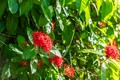 NOT A HOTEL ISHIGAKI EARTH滞在記──海・空・大地、地球をまるごと感じるユニークな別荘