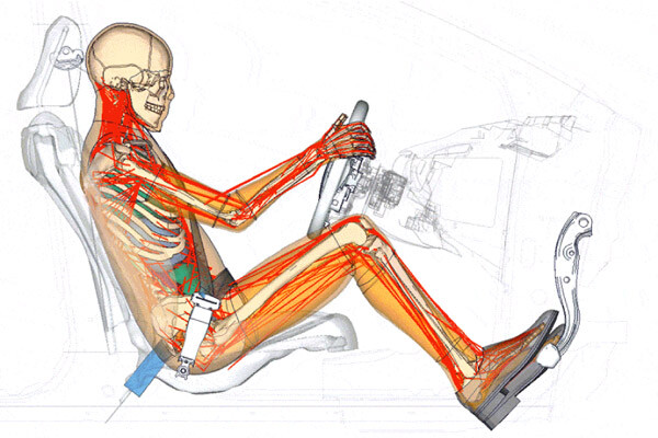 トヨタ、内臓・筋肉を持つ衝突実験用ダミー人形「THUMS（サムス）バージョン6」開発