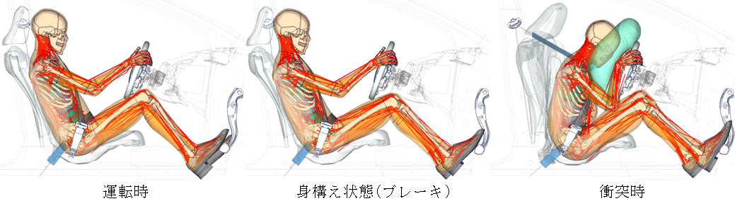 トヨタ、内臓・筋肉を持つ衝突実験用ダミー人形「THUMS（サムス）バージョン6」開発