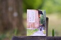 【GQ読書案内】寝苦しい夏に読みたい──涼を感じる5冊