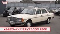 藤トモ、“タフな高級車”メルセデス・ベンツ 230E登場に大興奮！【グー鑑定団】