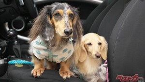 格安中古MINIガチ購入体験記 「買ってよかったと」で人生は上向く!!【最終回】