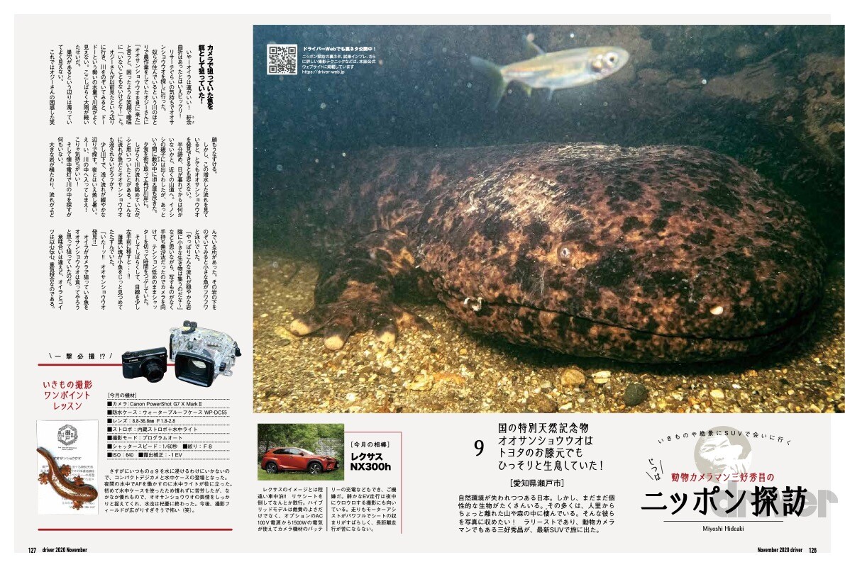 特別天然記念物を接写！「三好秀昌のニッポン探訪・取材ウラ話　第9回～オオサンショウウオ」