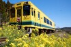いすみ鉄道危機、脱線から半年！ 売上3割減・負債2倍…走り続ける意味はあるのか？ カリスマ前社長の功罪、赤字ローカル線の価値を問う