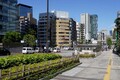 明治通り＆昭和通りはあるのに、なぜ「大正通り」はないのか？ 東京が記憶しなかった15年の時代を考える