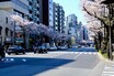 明治通り＆昭和通りはあるのに、なぜ「大正通り」はないのか？ 東京が記憶しなかった15年の時代を考える