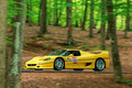 伝説のフェラーリ「F50」が20台以上連なってイタリアを疾走！ 専用タイヤまで用意された「F50レガシー・ツアー2025」とは