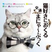 猫も人も、歩いてはいけない道がある？━━猫ときどき交通安全【今月の「交通まにゃ～」Vol.1】