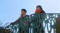 『行きがけの空』主演の三浦貴大、「未だに芝居をすることで精いっぱい」と役者業について語る