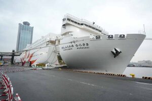 もはや“ホテル以上!?” 長距離フェリーで「初の客室」がスゴイ！ シングルも神設備が 「さんふらわあ」西の最新型に乗ってみた