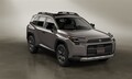 新型「RAV4」は本当にスキなしか？ ドイツの優等生「ティグアン」とスペック比較してみた