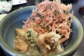 サクサクフワフワの食感がたまらない!? ファン急増中の由比の名店「くらさわや」で桜えび料理を堪能!!