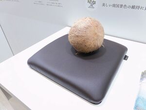〈人テク展2024横浜〉廃棄ココナッツ殻を自動車の内装品に　ミドリオートレザーが開発した「コイアーレ」