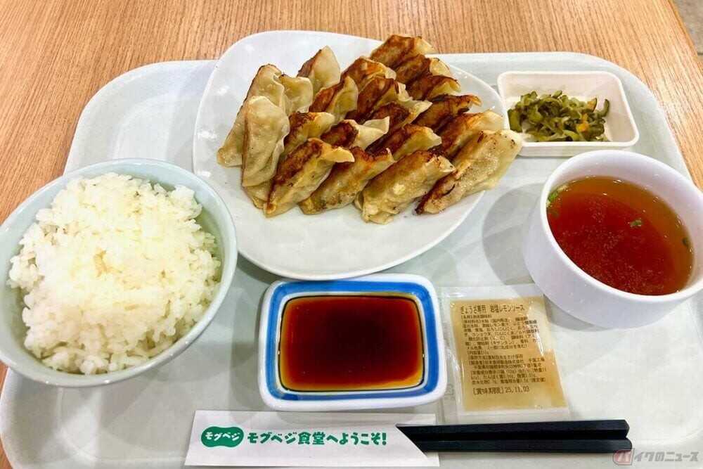 20周年を迎えた首都高がメニューフェア開催中　餃子20個が立ち並ぶ姿は圧巻!!　「八潮PA」オリジナルメニューに挑戦　バイクで行く高速道路グルメ