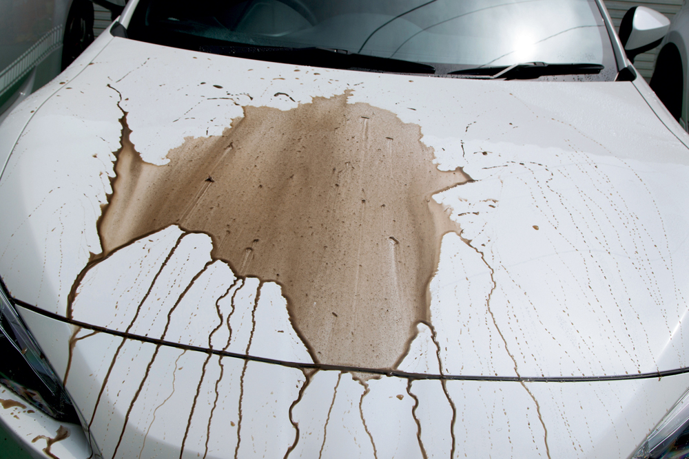 洗車のボディコーティング 撥水 親水 疎水 タイプ別の違いとは Auto Messe Web 自動車情報サイト 新車 中古車 Carview