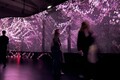 【レクサス×ミラノ・デザインウィーク2025】“黒い蝶”を手渡された若手クリエイターたちが創造したものとは。