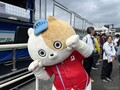 ［15秒でニュース］スーパー耐久シリーズ第6戦in岡山…次回は11月15・16日の最終戦富士