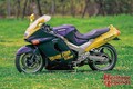 1990年代カスタムバイク回顧録・カスタムマシン編【Heritage&Legends】