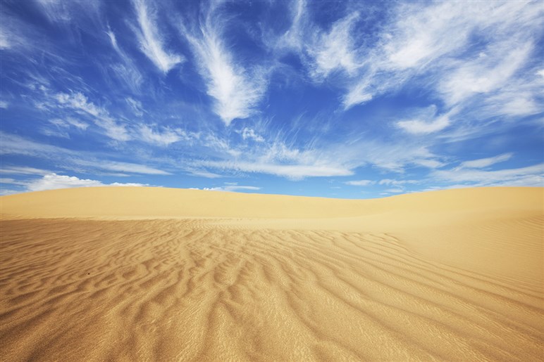 【今年も猛暑】たった3時間で55℃に。高温の車内に潜む危険性と、短時間で冷やす方法＆対策3選