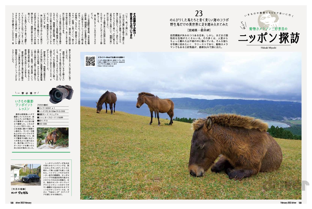 野生なのに超フレンドリーな馬を接写 三好秀昌のニッポン探訪 取材ウラ話 第23回 野生馬 Driver Web の写真 自動車情報サイト 新車 中古車 Carview