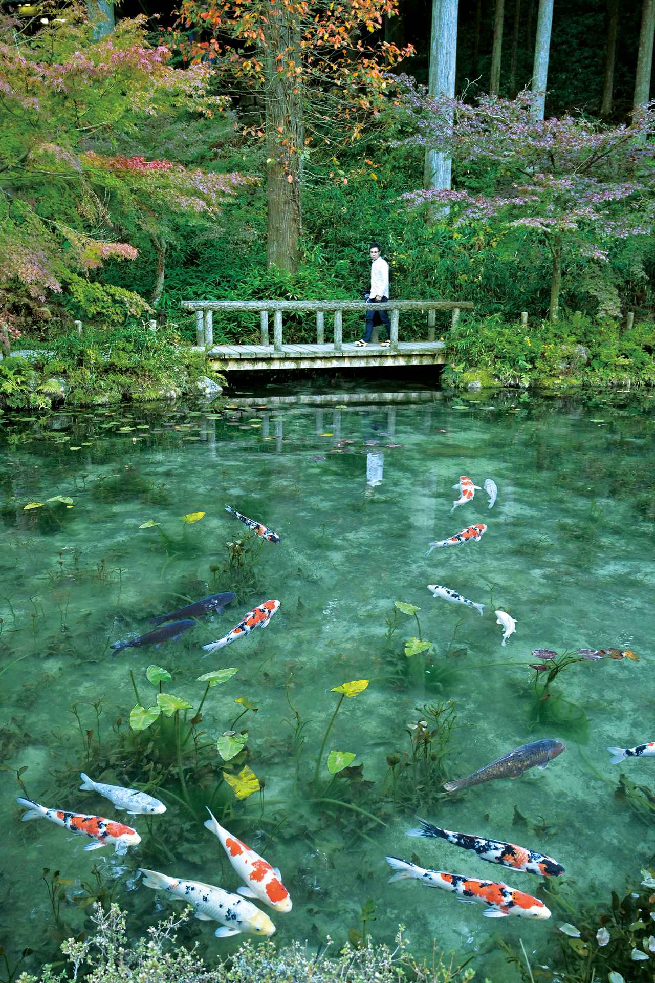 世界一大きな狛犬 と モネの池 を目指して岐阜県へ 神社巡拝家 佐々木優太の 神社拝走記 第16回 Webオートバイ 自動車情報サイト 新車 中古車 Carview