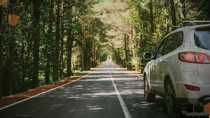 FORVIA HELLAとオンセミ、次世代MOSFET技術で長期契約を締結