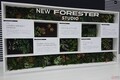 スバル新型「フォレスター」正式発表前に恵比寿ショールームで先行展示