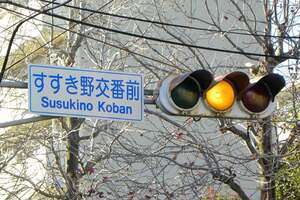 無意識にやってしまってるライダーもいるかも?? それアウトだよ!! 黄色信号で交差点に急いで進入する行為